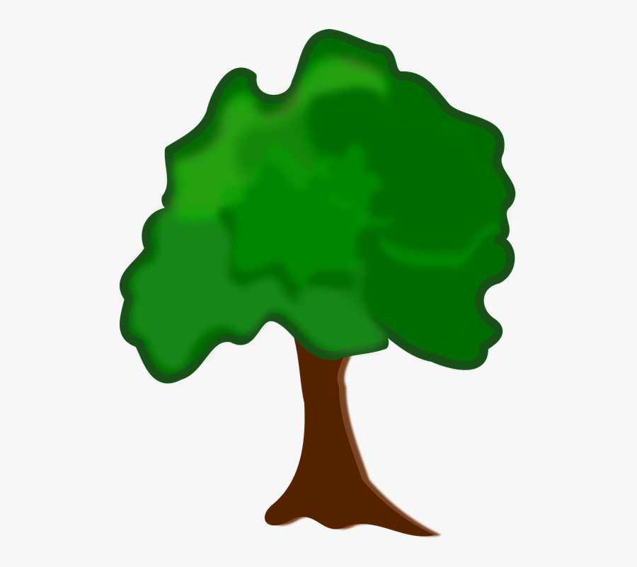 Clip Art, Flora, Nature, Plant, Tree - Clipart Arbre, Transparent Clipart