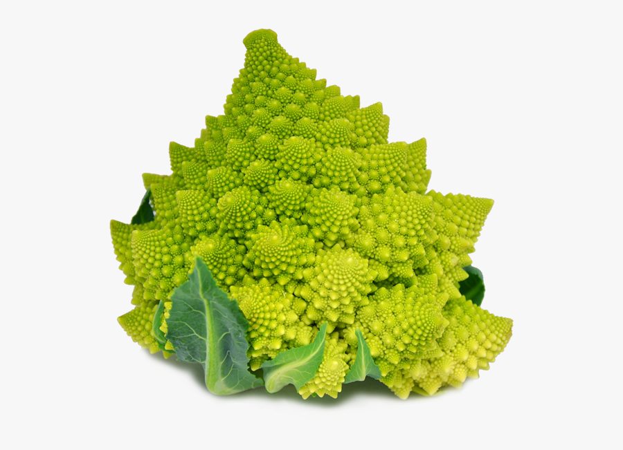 Clip Art Roman Cauliflower - Romanesco Broccoli Png, Transparent Clipart