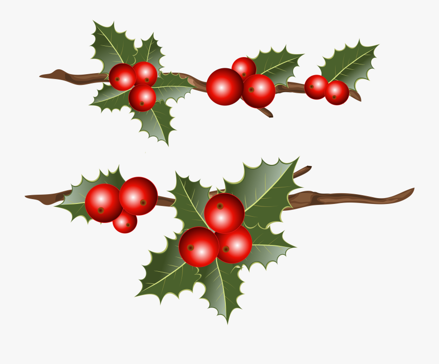 Common Holly Christmas Mistletoe Clip Art - Clip Art, Transparent Clipart