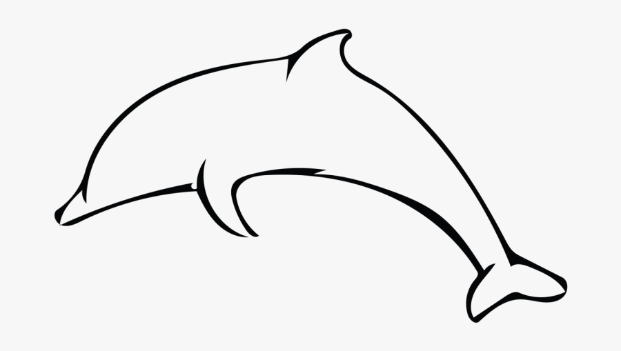 Savvy Skillshare Projects - Dolphin Outline Black And White, Transparent Clipart