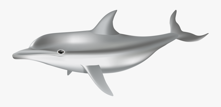 Portable Network Graphics, Transparent Clipart