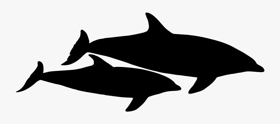 Dolphin Vector Graphic - Dolphins, Transparent Clipart