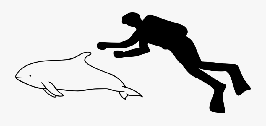 Pilot Whale Size Comparison, Transparent Clipart