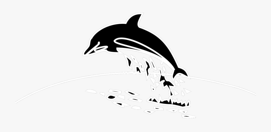 Dolphin, Transparent Clipart