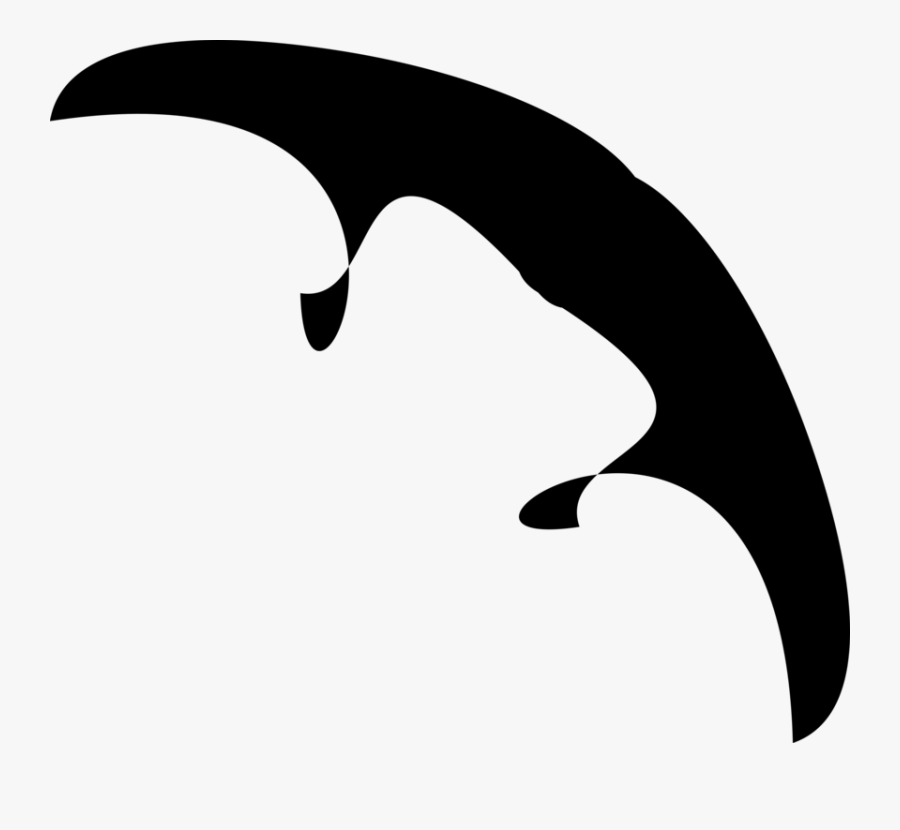 Dolphins And Porpoises - Clip Art, Transparent Clipart