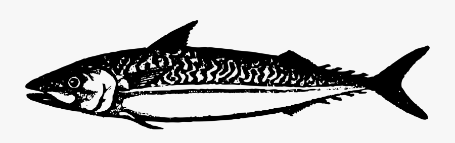 Photography - Illustration, Transparent Clipart