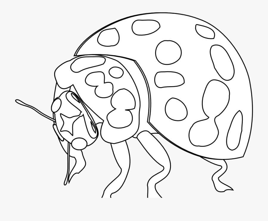 Bug Tattoos, Designs And Ideas - Illustration, Transparent Clipart
