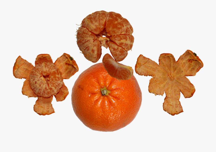 Fruit, Tangerine, Orange, Food, Vitamin C, Juicy - Mandarin Orange, Transparent Clipart