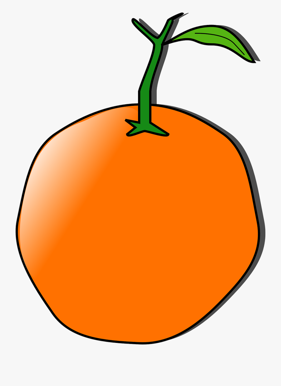 Orange, Fruit, Tangerine, Manderin, Healthy, Fresh - Orange Clip Art, Transparent Clipart