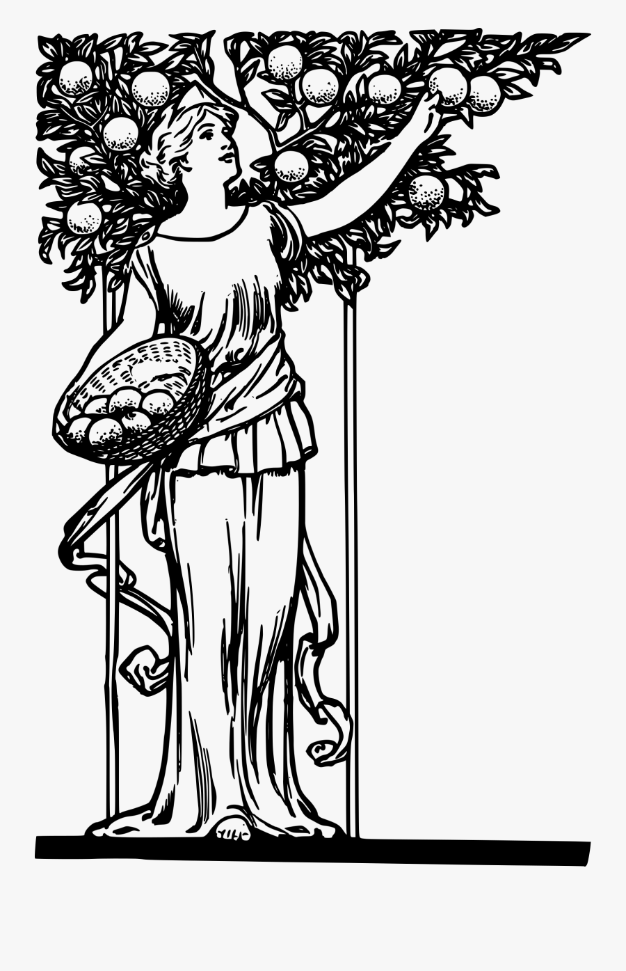 Lady Picking Oranges Clip Arts - Drawings On Good Tree Bears Good Fruit, Transparent Clipart