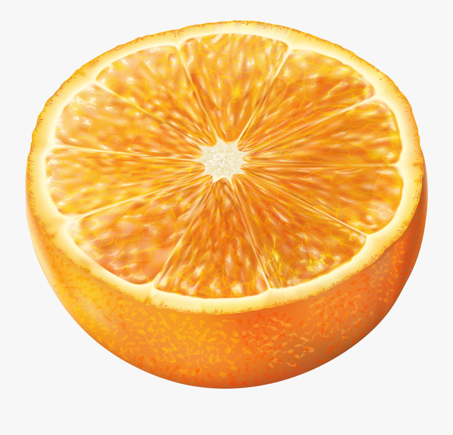 Half Orange Fruit Lime Slice Free Pnglogocoloring - Laranja Cortada Png, Transparent Clipart