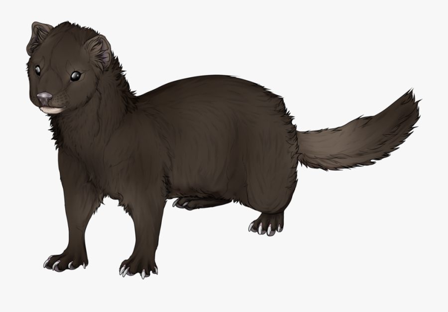 Mink Ferret Drawing Clip Art - Mink Png , Free Transparent Clipart