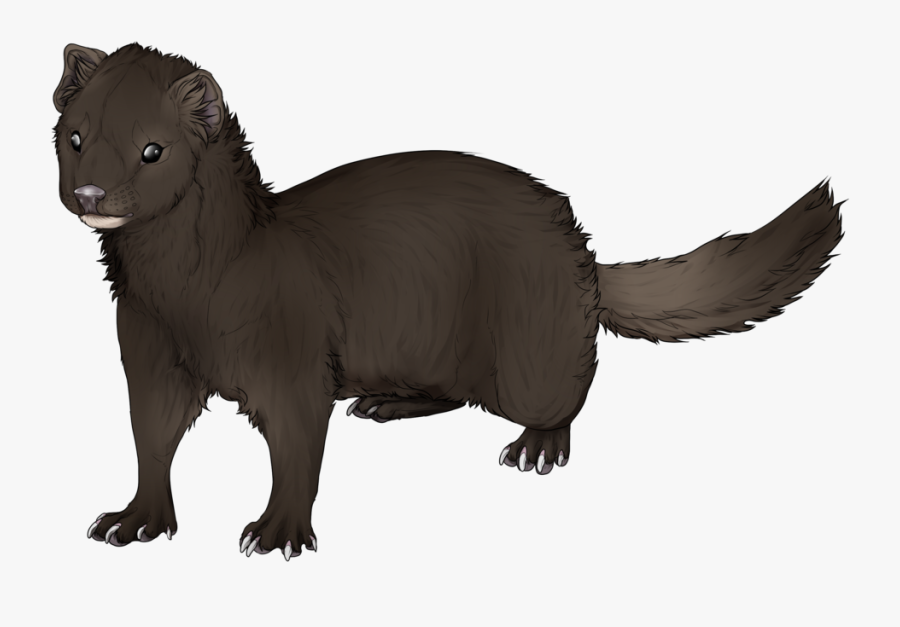 Mink Ferret Drawing Clip Art - Mink Png, Transparent Clipart