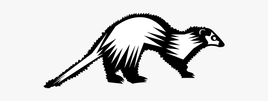 Huron, Ferret, Pets, Animals, Hairy, Mustelidae - Ferret, Transparent Clipart