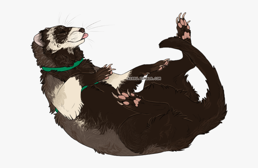 Illustration, Transparent Clipart