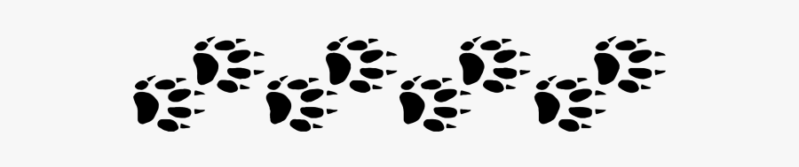 Picture - Ferret Paw Print Png, Transparent Clipart