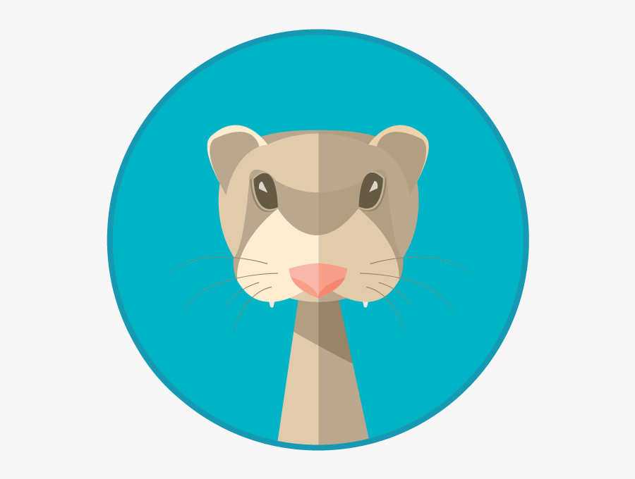 Dewey The Ferret Illustrator Flat - Cartoon, Transparent Clipart