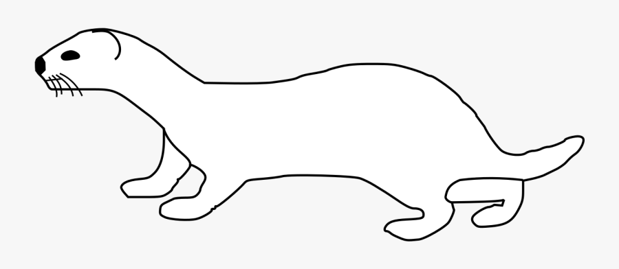 Outline Of A Weasel, Transparent Clipart