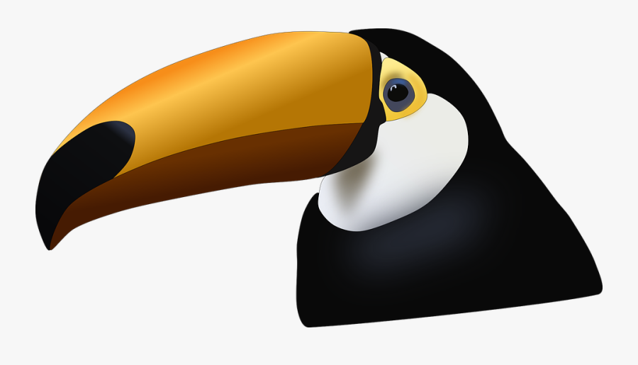 Toucan, Bird, Tropical, Animal, Colorful, Nature - Bico De Tucano Png, Transparent Clipart