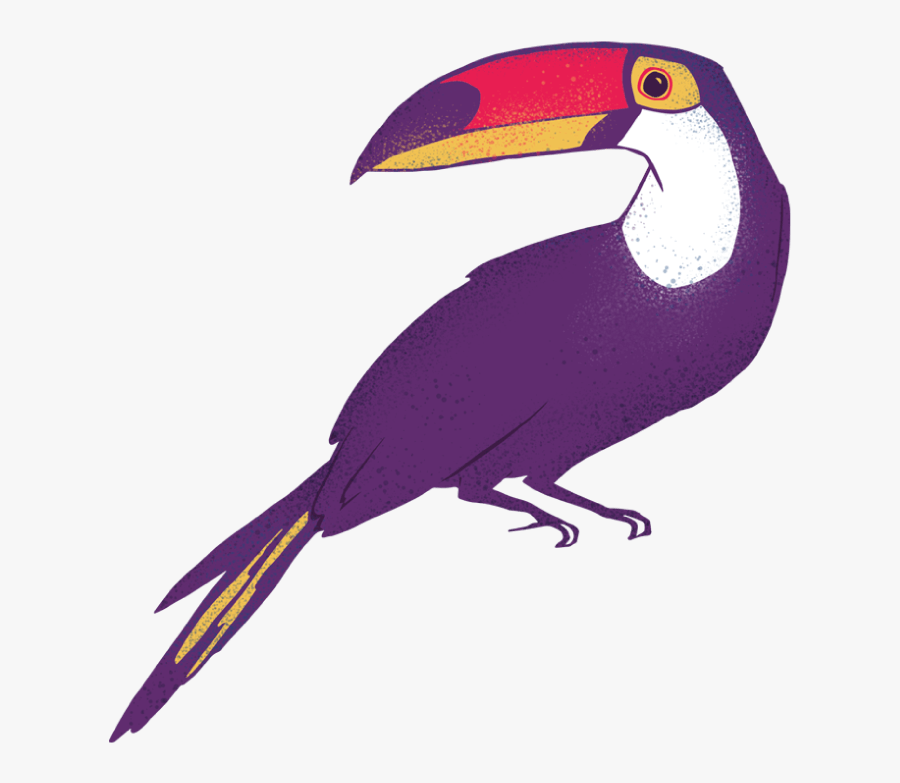 Clipart About Amaz Nia Font Amaznia Illustrations - Toucan, Transparent Clipart
