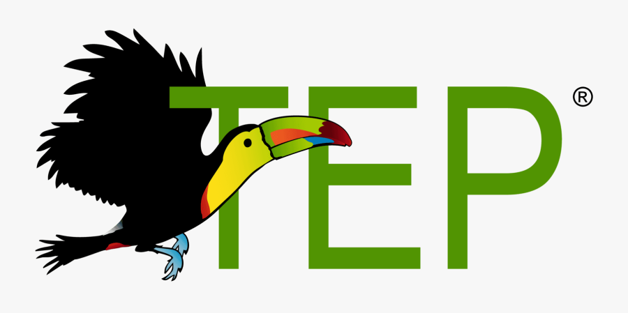 Toucan Education Programs Logo, Transparent Clipart