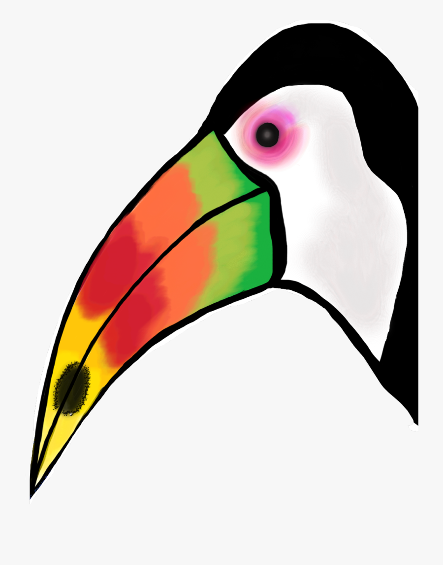 Transparent Tucan Png - Toucan, Transparent Clipart