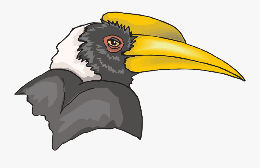 Hornbill Png, Transparent Clipart