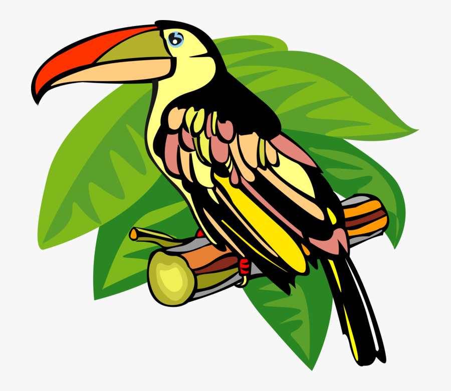 Vector Illustration Of Toucan Bird With Large Beak - Toucan, Transparent Clipart