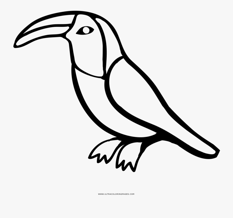 Toucan Coloring Page - Coraciiformes, Transparent Clipart