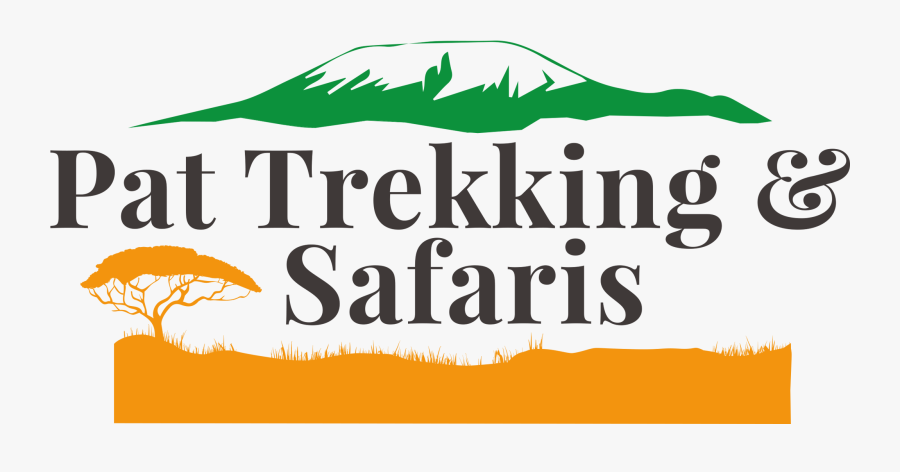 Poster, Transparent Clipart