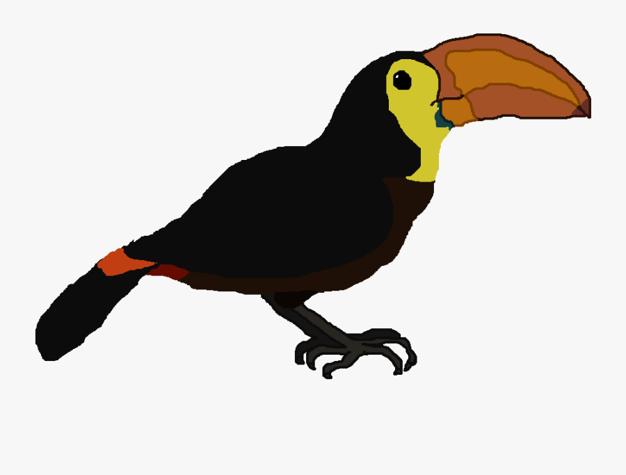 All Birds Wiki - Toucan, Transparent Clipart