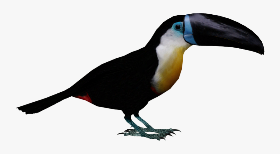 Toucan Png Clipart , Png Download - Gif De Tucan Png, Transparent Clipart