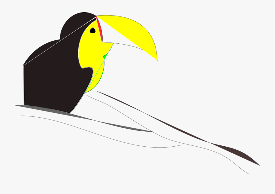 Neck,vertebrate,yellow - Penguin, Transparent Clipart