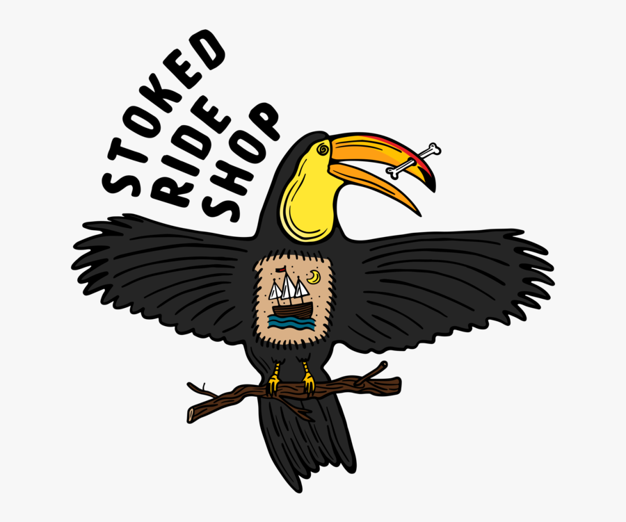 Hornbill, Transparent Clipart