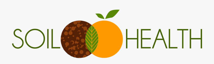 Liebich & Partner Logo, Transparent Clipart