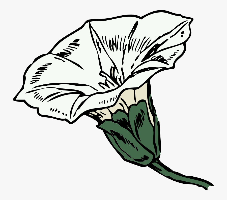 Flor De Enredadera Dibujo, Transparent Clipart