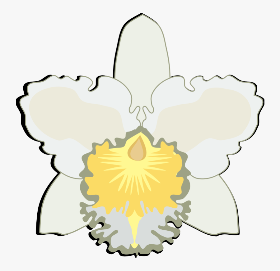 Clip Art, Transparent Clipart