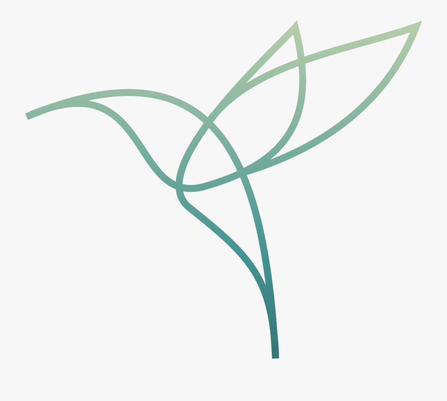 Line Art, Transparent Clipart