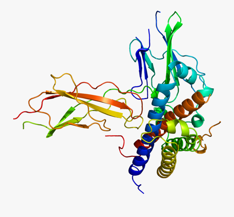 Protein Gh1 Pdb 1a22 - Human Growth Hormone Receptor Structure, Transparent Clipart