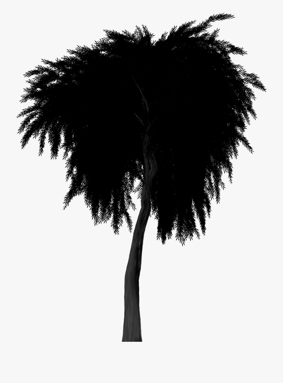 Saule Silhouette, Transparent Clipart
