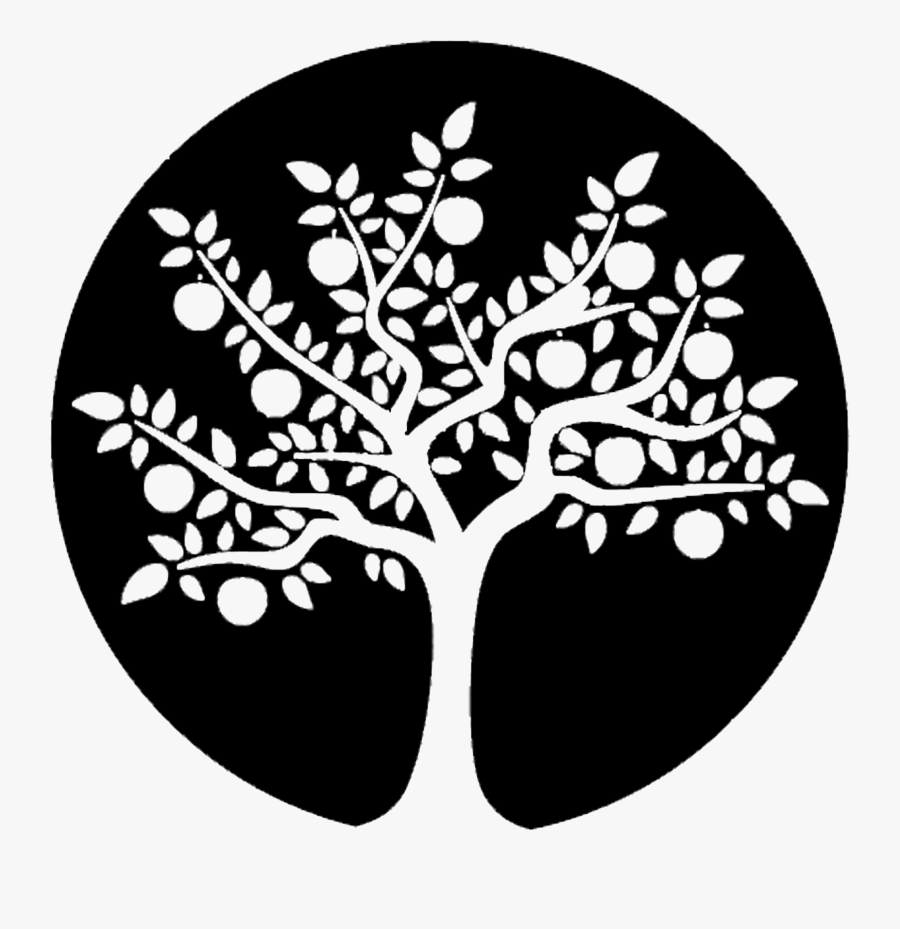 Willow Tree Clip Art, Transparent Clipart