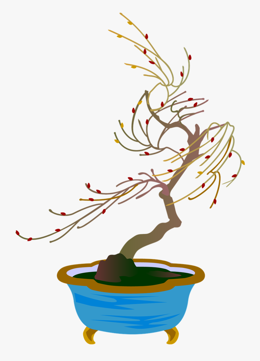 Willow Bonsai Gardening Free Picture - Illustration, Transparent Clipart