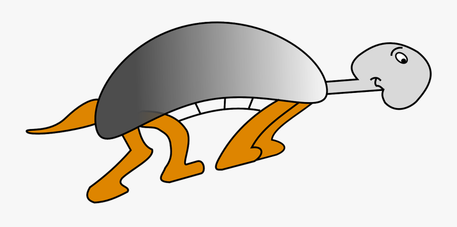 Turtle Animal Funny Free Picture - Turtle, Transparent Clipart