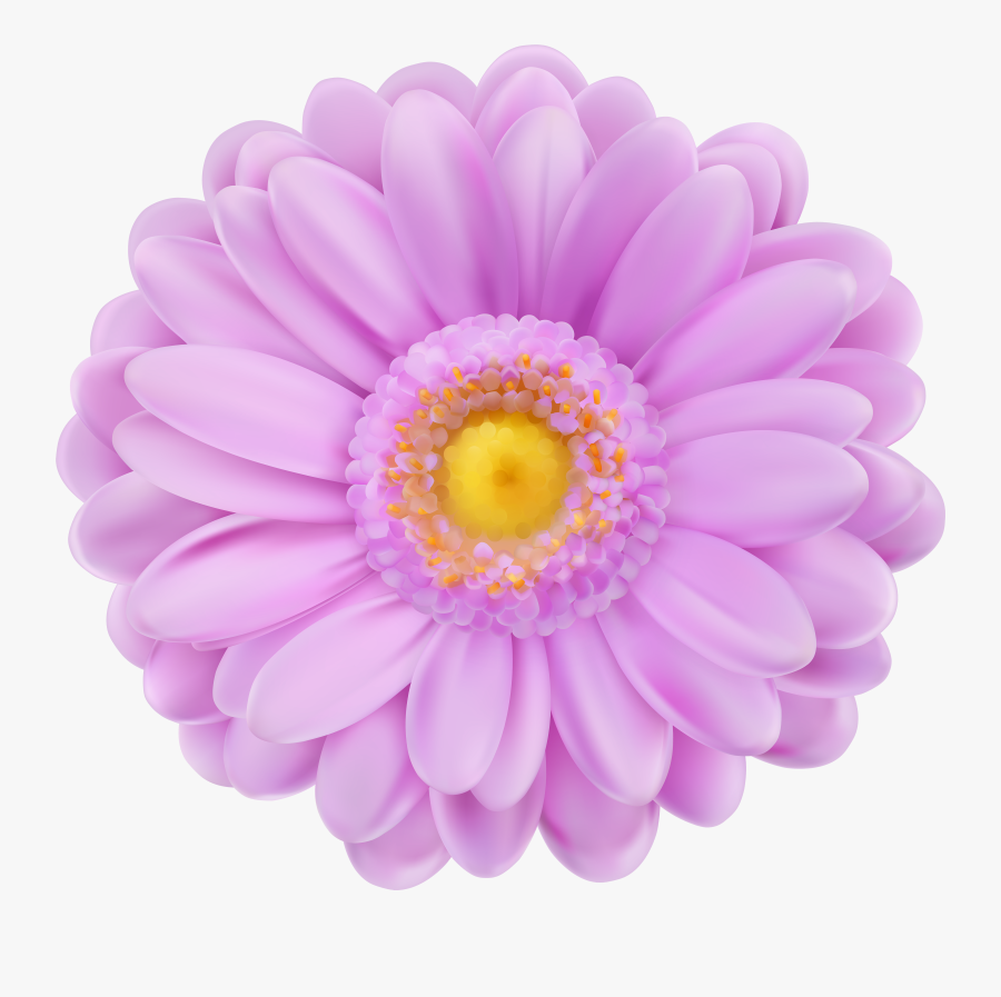 Purple Flower Png - Transparent Background Flower Png, Transparent Clipart