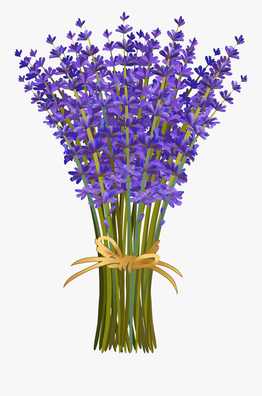 Clip Art Pinterest Lavender Flowers - Lavender Clipart, Transparent Clipart