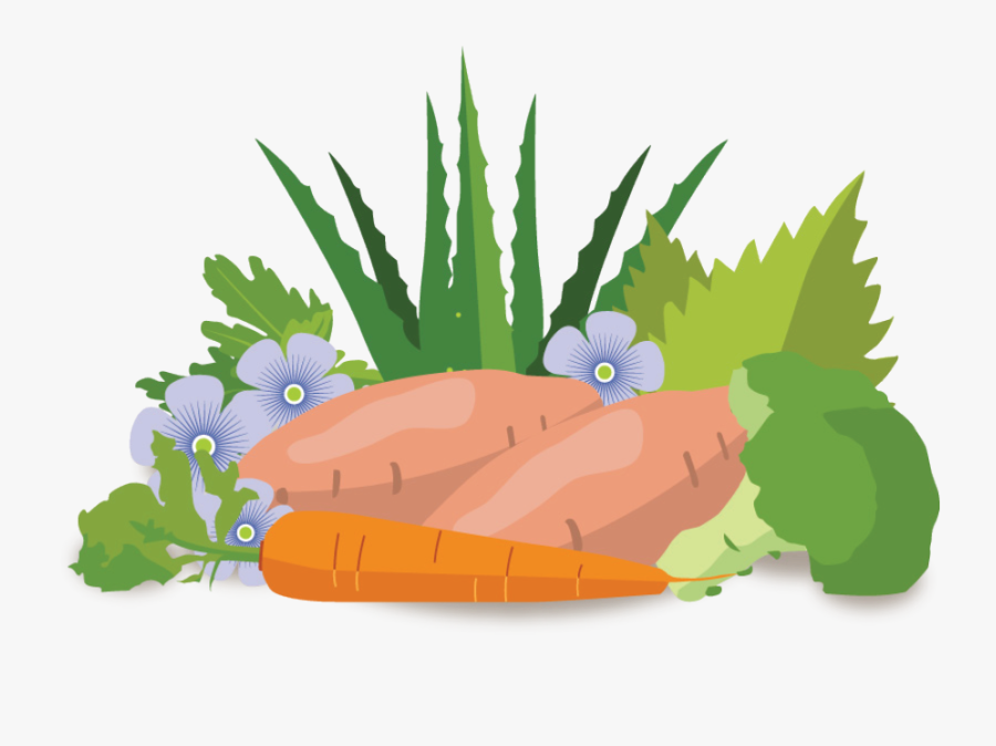 Veg - Illustration, Transparent Clipart