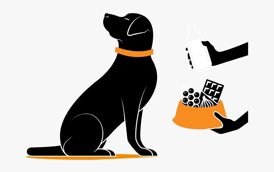 Koiralle Myrkylliset Ruoat, Transparent Clipart