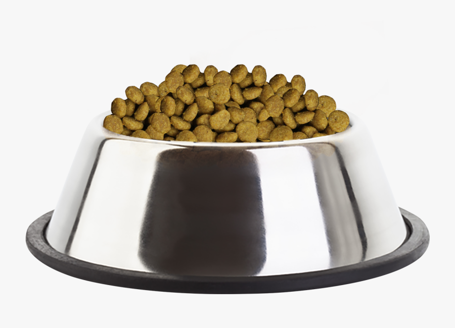 Dog Food Bowl Png, Transparent Clipart