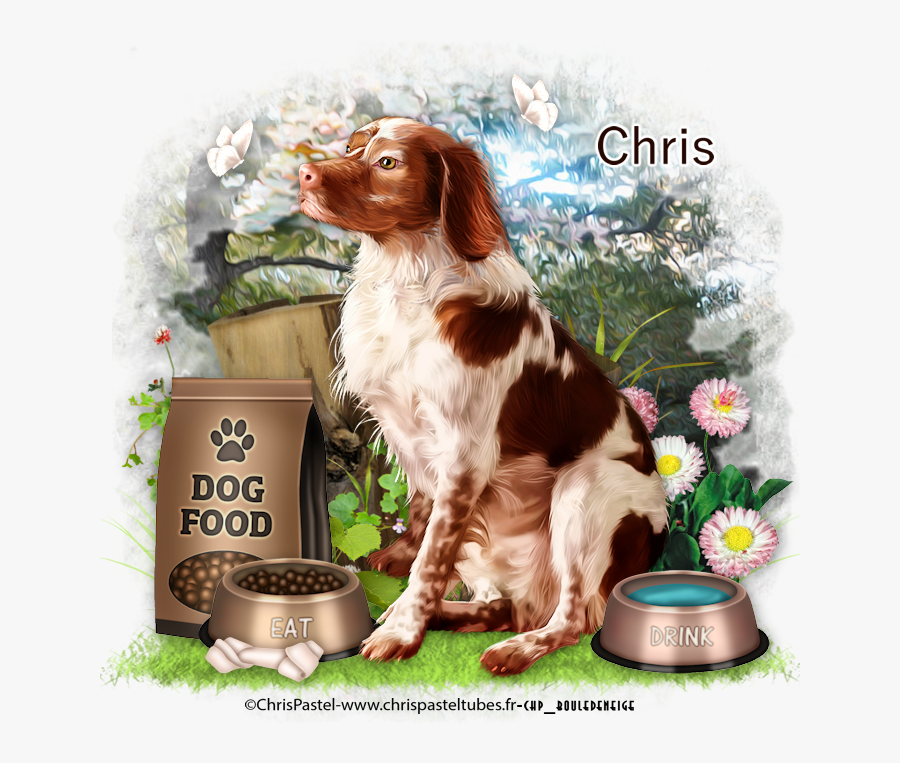 Dog Catches Something, Transparent Clipart