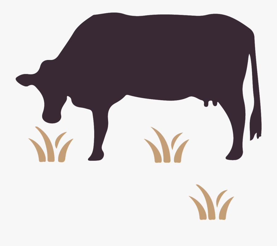 Australian Wagyu Association Cattle Pig Ox - Dairy Cow, Transparent Clipart